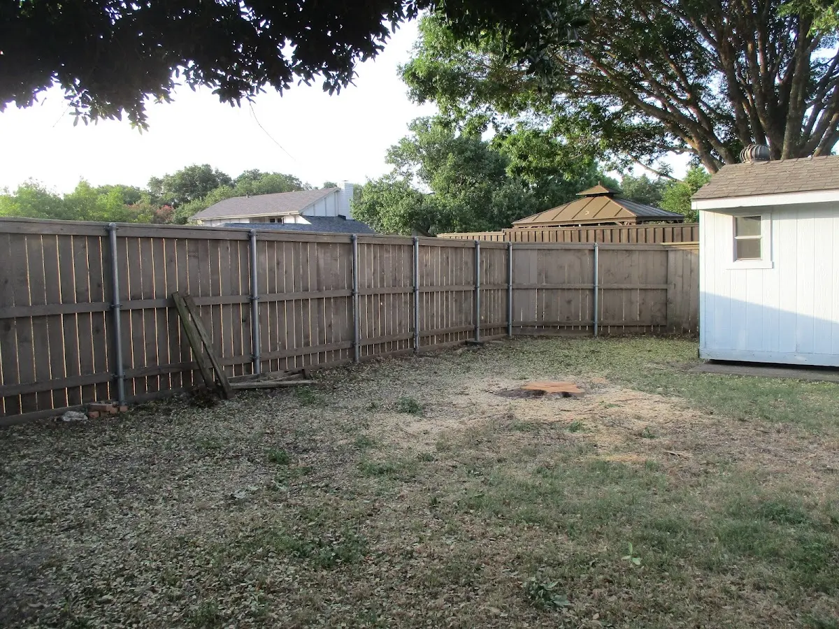 Cleared yard after professional tree removal in Sevier